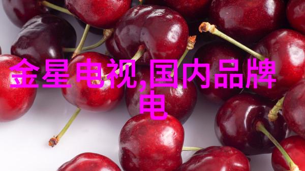 机器人的定义与应用概述