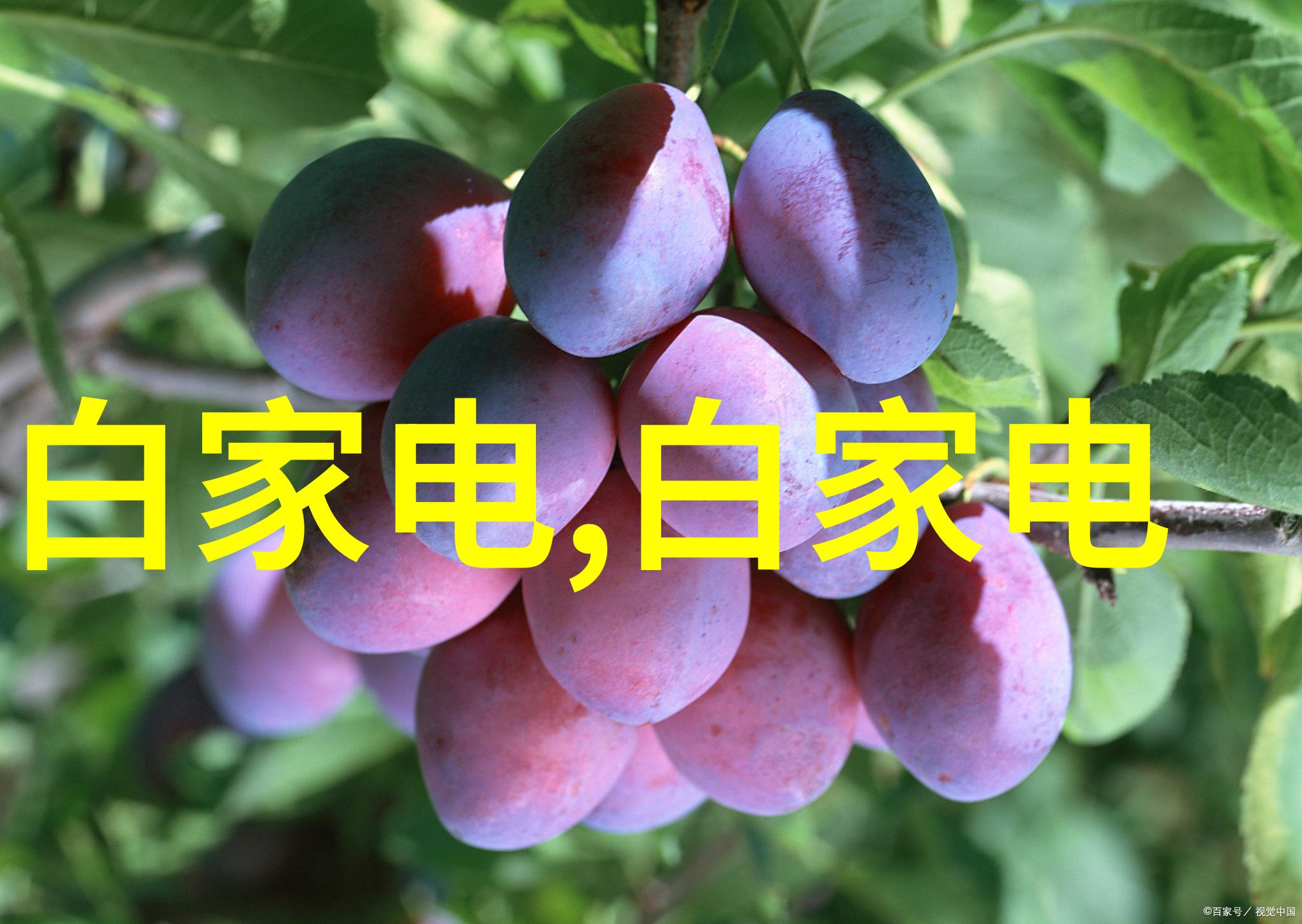 反应釜各个部件作用反应釜的关键部件功能解析