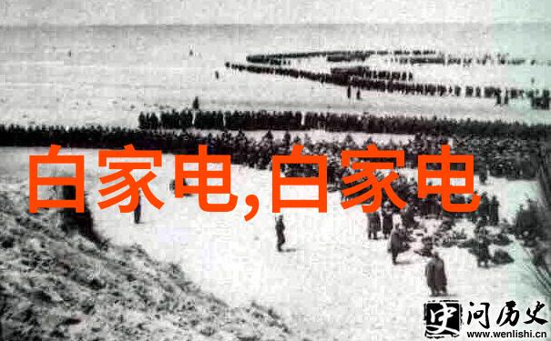 揭秘布袋除尘器从设计到运行的精妙之处