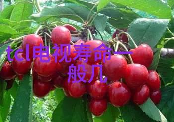 工厂粉尘用什么吸尘器-高效除尘必备选择合适的工业吸尘器