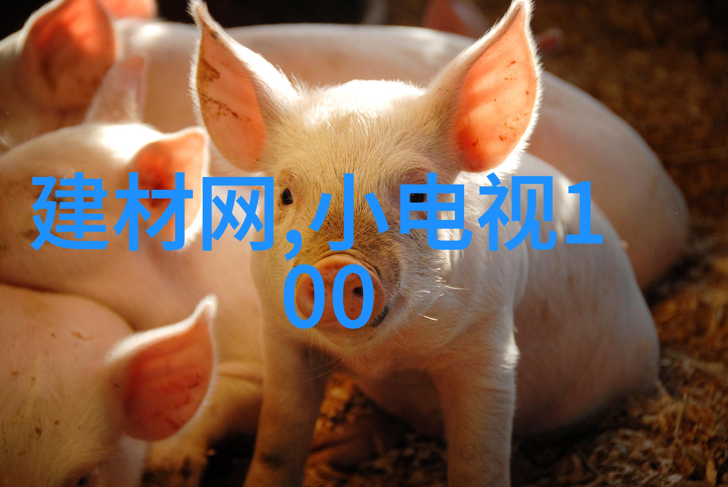 天津财经大学铸就金融未来者的殿堂