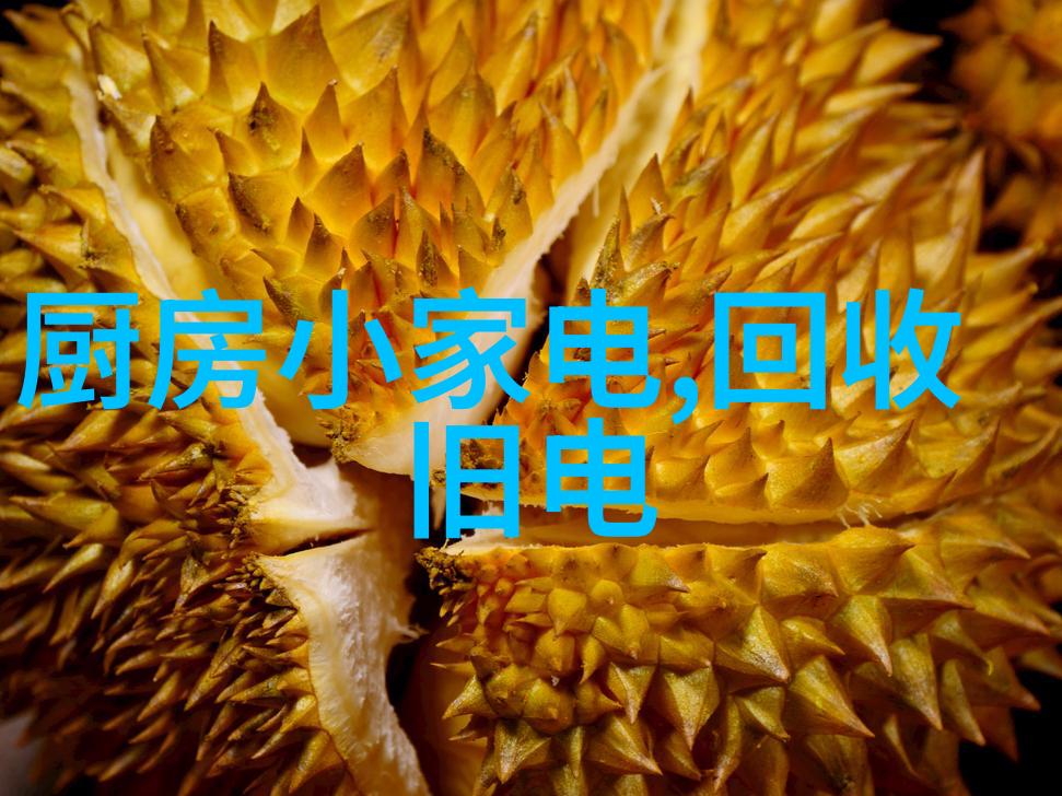 市场营销专业的魅力与前景