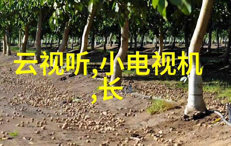 家庭健康的新伙伴纯净生活的魔法机器