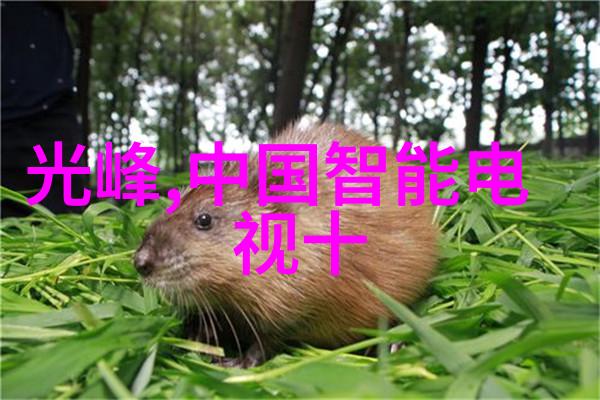 成都装修设计追求个性化与和谐生活空间的艺术融合