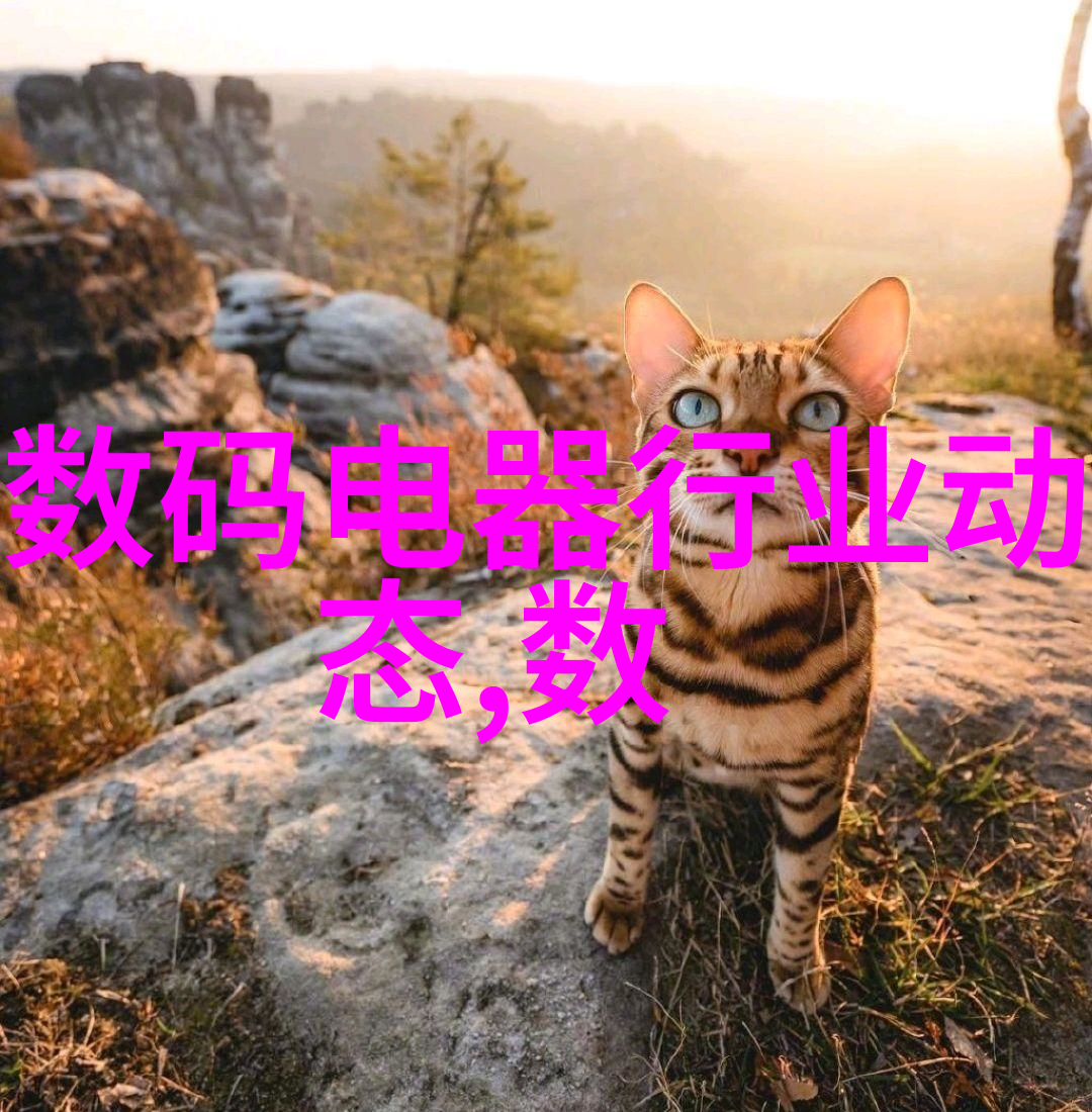 锅炉配件-锅炉运行必备探索高效的锅炉配件选择与维护