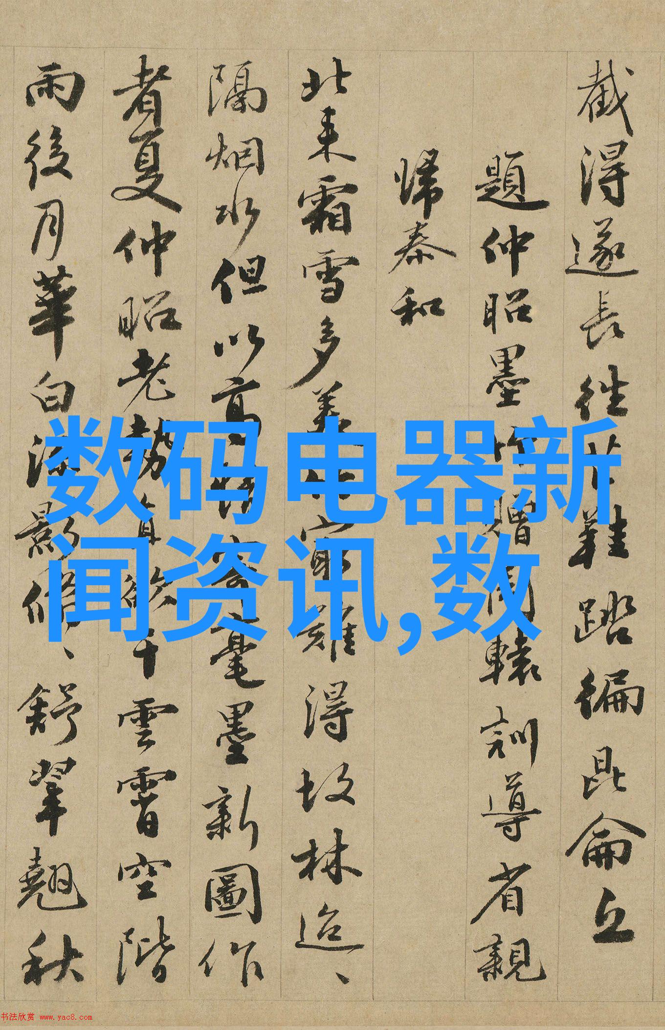 检测新纪元张珊珊机构引领科技发展潮流