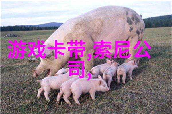 撕裂人国语语言的裂缝与文化的重塑