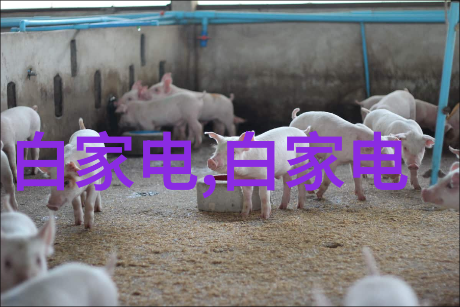 小型粉尘除尘设备能否在家庭环境中有效清洁空气