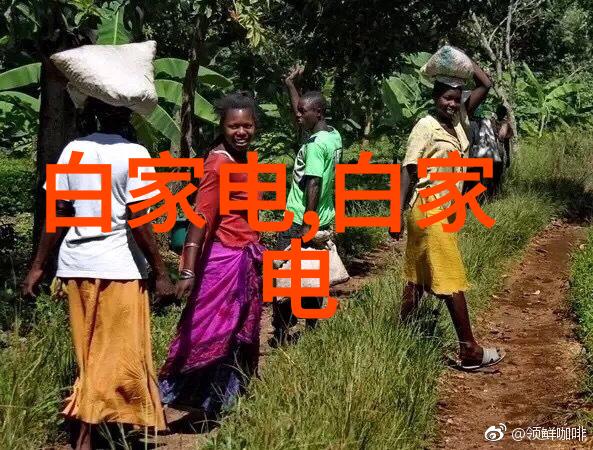 水质检测仪器使用方法-精确测量清澈掌握水质分析的艺术