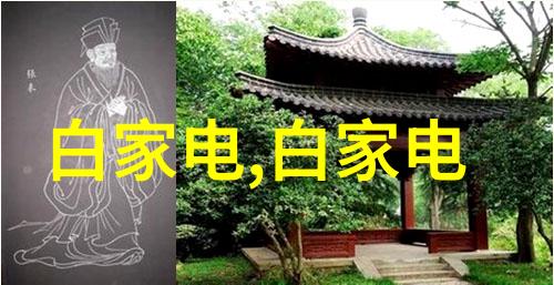 青春启航初中毕业后哪些技术最有发展前途