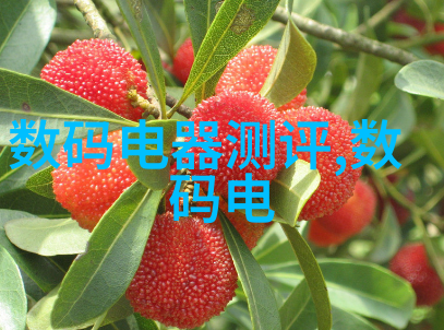 粉碎机设备的核心技术与应用前景
