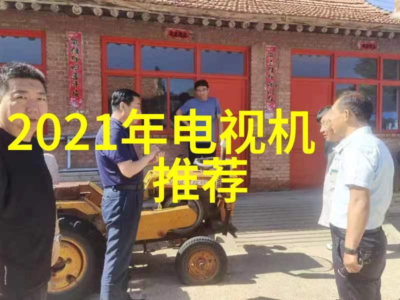 揭秘家猫的不为人知生活从如何高效睡觉到偷吃小零食的艺术