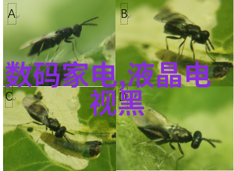 化工药品自动包装设备高效安全的化工药品直接包装解决方案