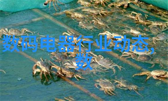水净化之道揭秘反渗透技术的神奇力量