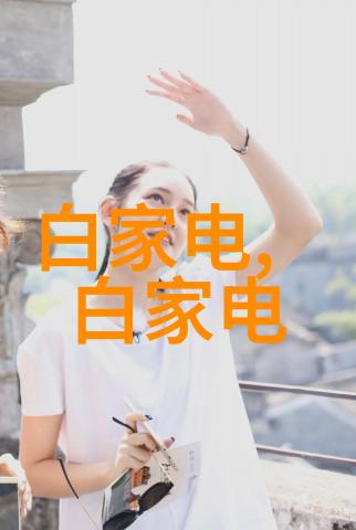 高效干燥技术的新纪元闪蒸设备革新食品工业