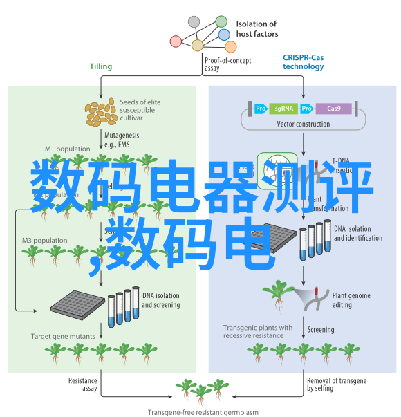沙发上小泬的故事总结