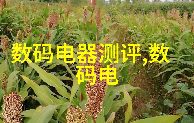 特种设备之问灭菌锅的身份探究