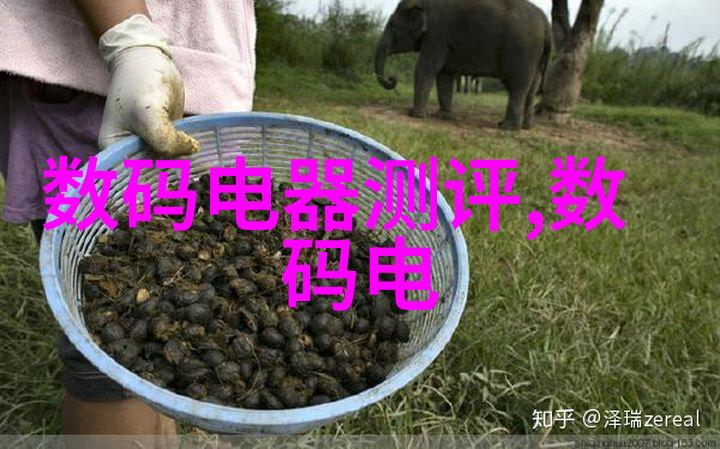 构建高效运输规整填料标准的重要性与实践