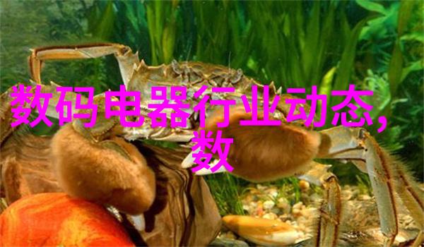 电子垃圾的回收与再生新篇章