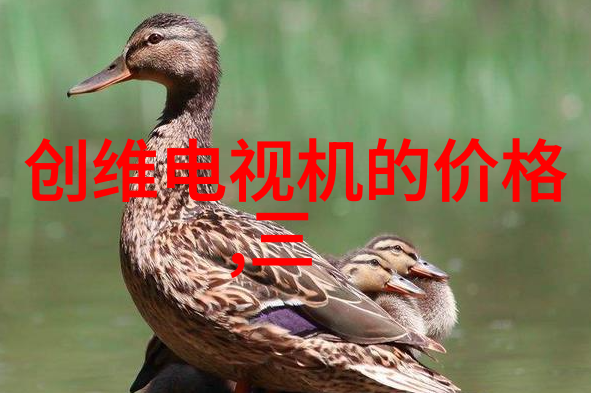 胶体磨技术精细粉碎的高效工艺