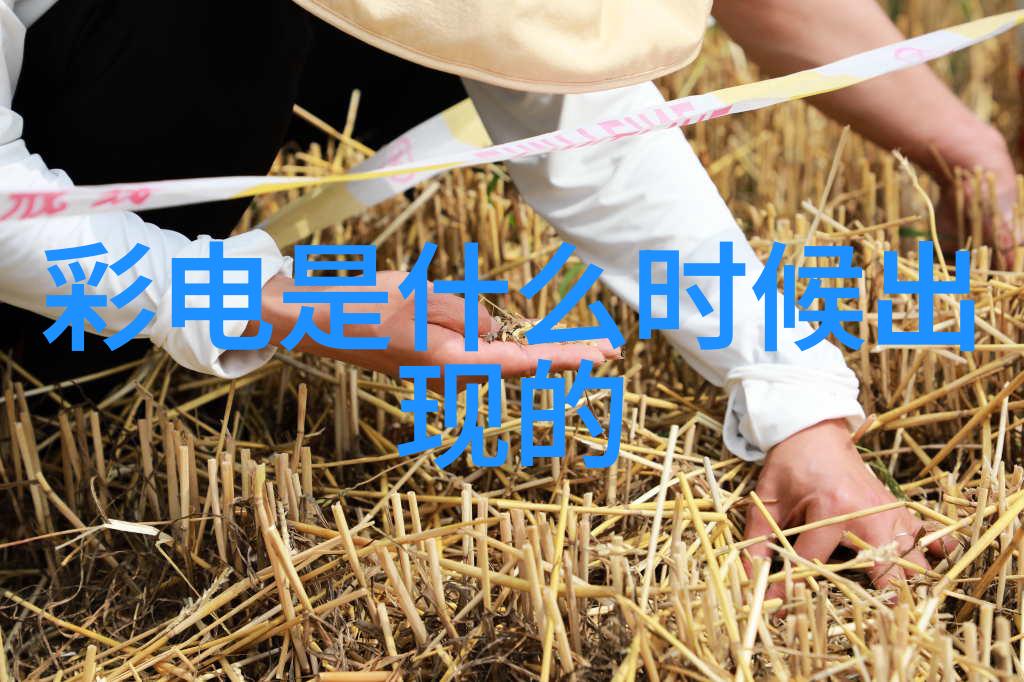 短视频拍摄神技岳阳兄弟古风美景年入10亿金流