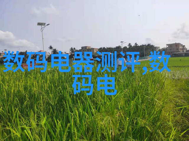 人工湿地火山岩填料自然模拟技术