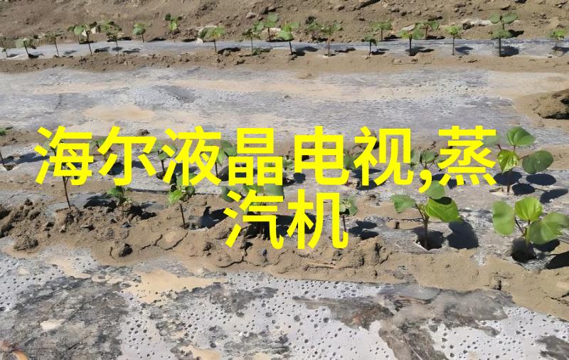 师士传说揭秘古老智慧的神秘下载