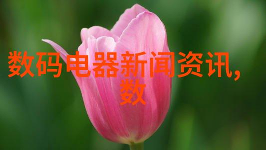 炮灸疗法在现代医学中的应用与价值探讨
