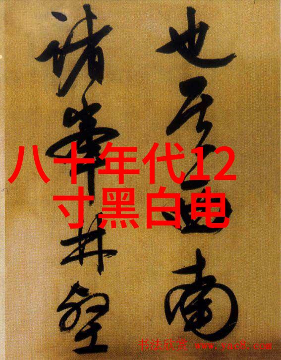 微波炉操作指南简单快速的厨房烹饪技巧
