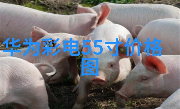 不锈钢加工设备种类详解铣削机磨床钻床等