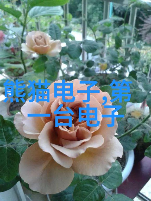 淡定为妃她如何以安详的姿态征服了心灵的宫廷