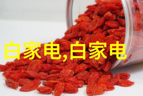 全自动蒸汽发生器高效节能的未来烹饪解决方案