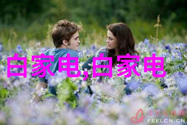 不锈钢卫生泵的安装与维护小贴士