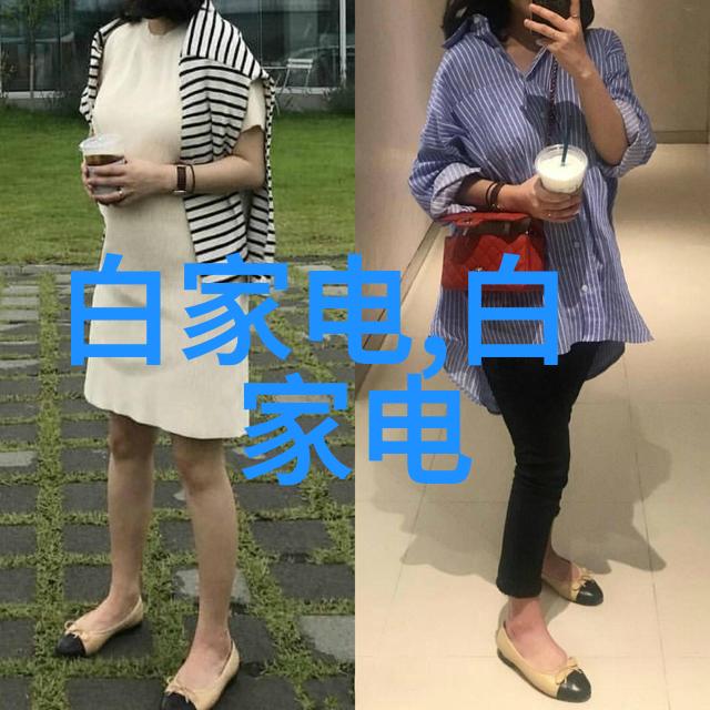 中药记忆口诀精华集传统医学中的400种草本智囊