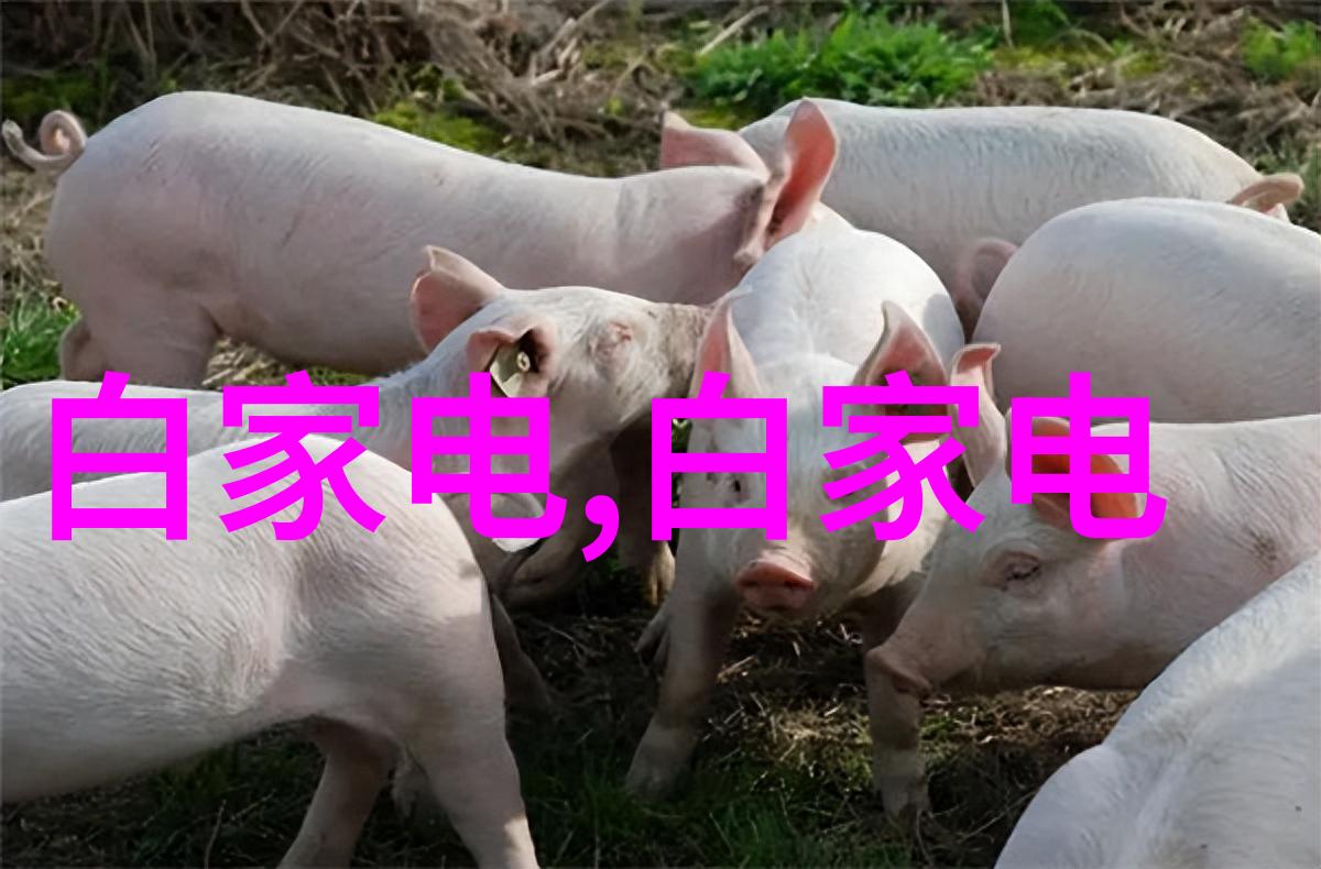 化学实验室的守护者反应罐的神秘力量