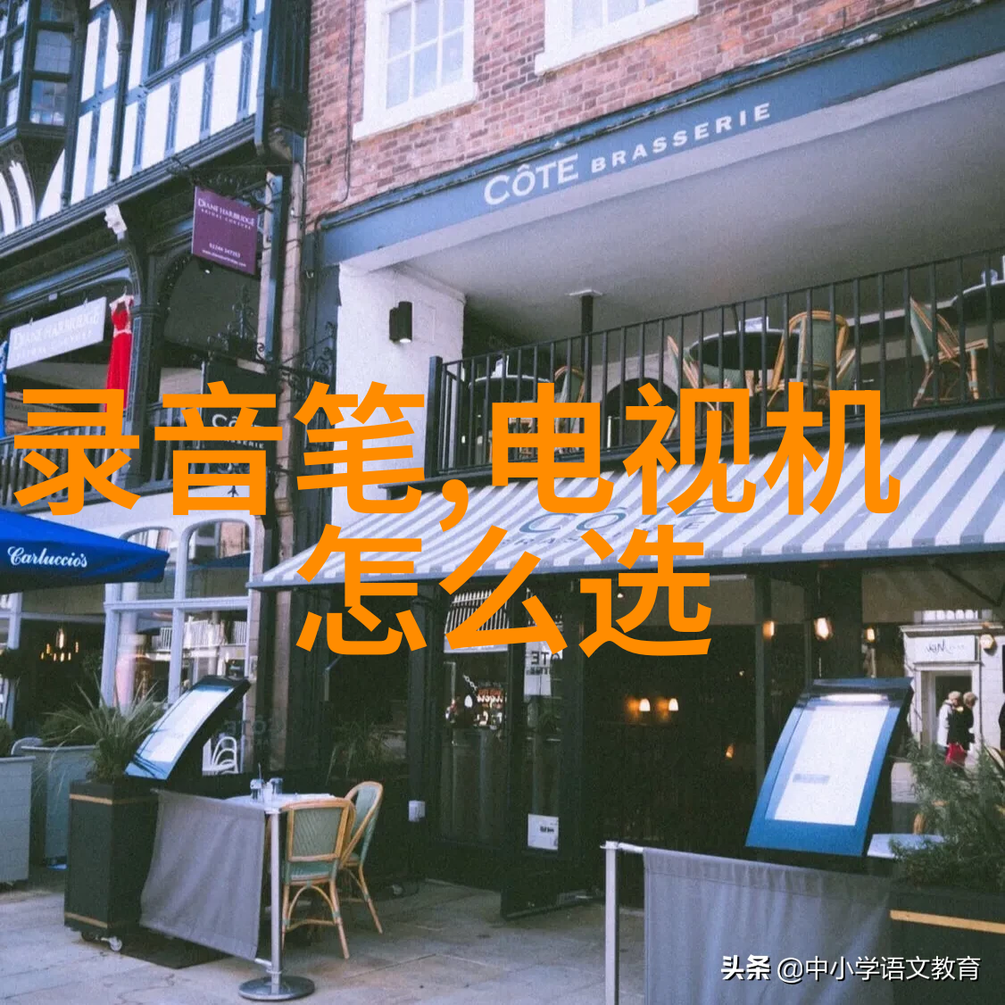 探索人生旅途中的智慧与勇气