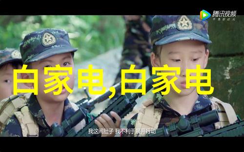 古玩市场的秘密花园潘家园的故事与传奇