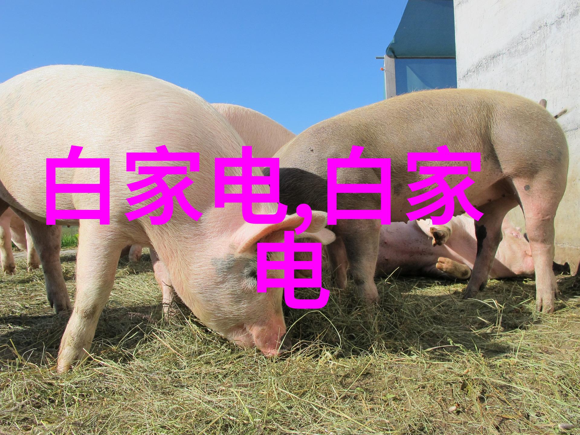 用车架号查询车辆配件-搭载高效精确定位轻松找回车辆配件的秘密武器
