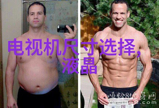 电子工程师的宝库精选微波炉电路图案例研究