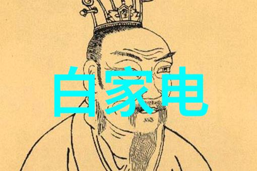 数码电器行业投资机会剖析产业链细分市场与优质企业的价值挖掘