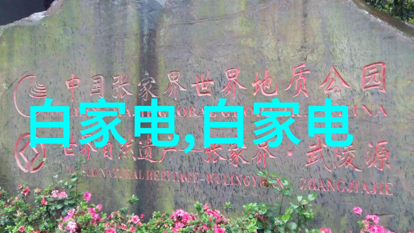 水文监测系统中的关键组成部分如何选择合适的水位显示仪