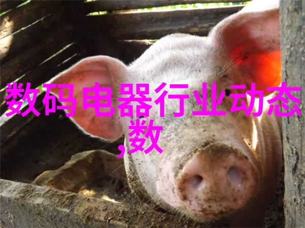 金属之美不锈钢制品的多面魅力
