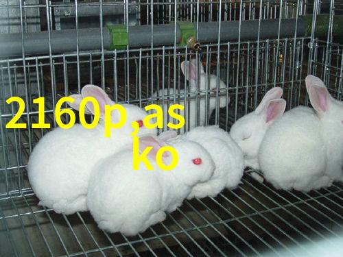 坐下来自己慢慢摇视频我是如何在家里拍出一部小电影的