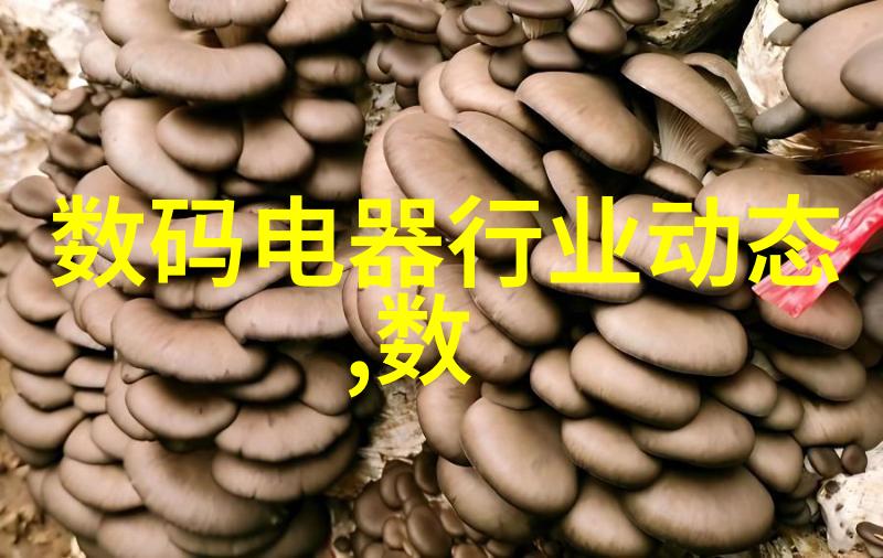 净化水设备生产厂清新生活源自专业制造