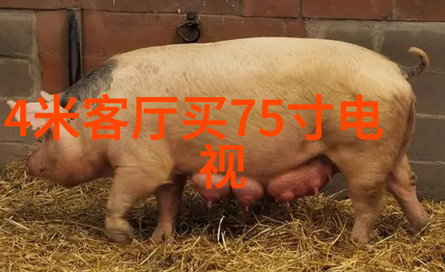排水管材料种类-多元化选择从塑料到金属探索适合您家的最佳材质