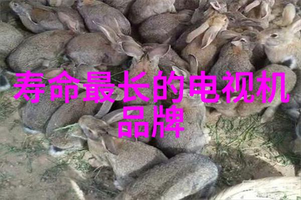 日系摄影人像图片-日光下的肖像探索日本摄影人像艺术的魅力