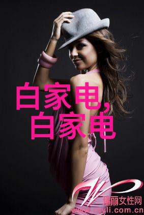 真空干燥设备-超微粉末高速旋流真空干燥技术与应用概述