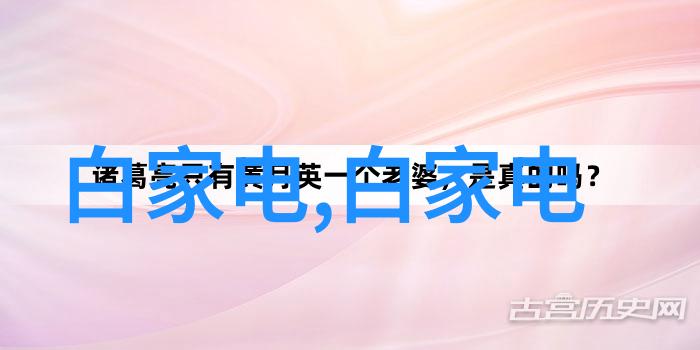 环填料技术-规整的选择探索环填料在基础设施工程中的应用