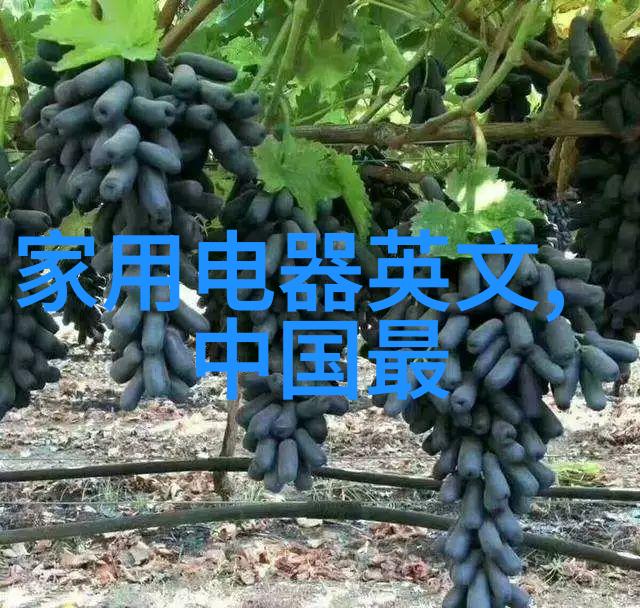 小型电热蒸汽发生器的应用与选择