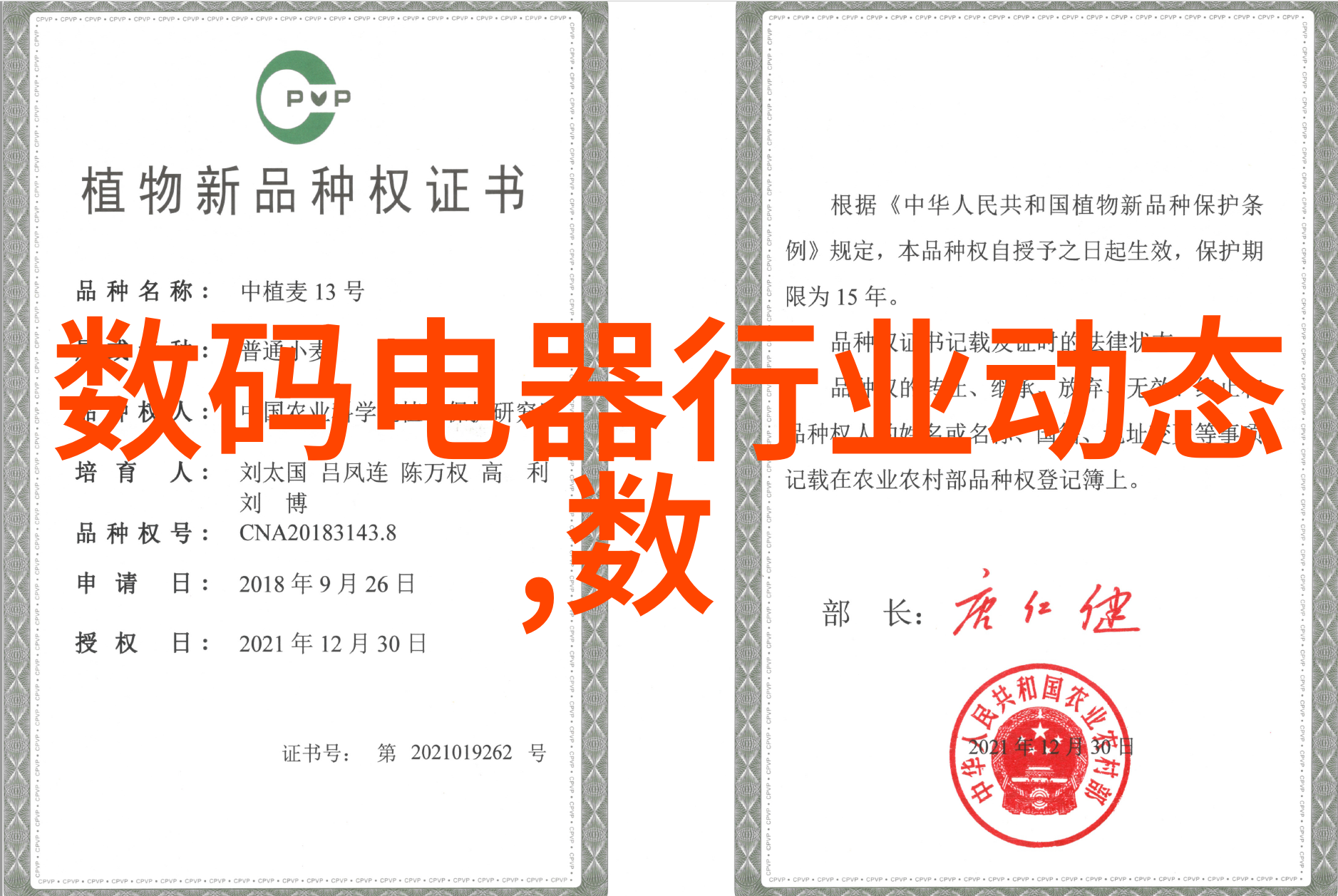 焚烧废气的催化者清晨的污染与夜幕下的净化